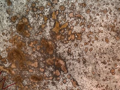 Professional basement flood restoration services services in Alhambra